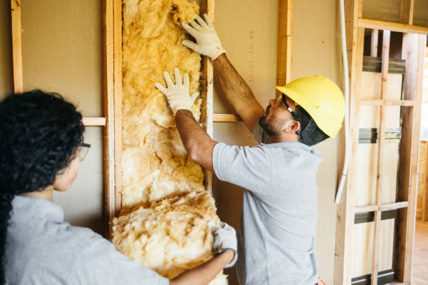 Best Basement Insulation  in Lincoln, IL